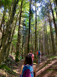 Foreste Casentinesi, 7 agosto 2019