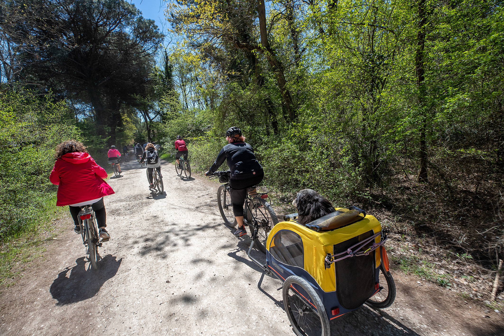 Cibi in bici, la manifestazione di Trail Romagna e CheftoChef- RavennaFood in compartecipazione col Comune di Ravenna, conferma il successo del turismo ambientale, ancor più se questo abbina alla scoperta del territorio il benessere e la gastronomia. 1000 i piatti preparati dagli chef Mattia Borroni, Erica Liverani, Matteo Salbaroli e Sabatino Restuccia (con il supporto di Sbrino) per i 250 partecipanti che in quattro tappe hanno percorso il tratto Sud del Parco del Delta del Po partendo dallo Chalet dei Giardini Pubblici di Ravenna. Un successo che è di buono auspicio per la pedalata della liberazione che vedrà ancora accanto Trail Romagna, Legambiente e FIAB Ravenna