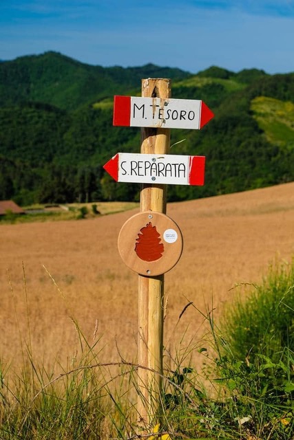 Festival Sentieri Agrourbani (15)