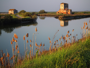 TorreRossa comacchio