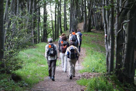 camminosromualdo