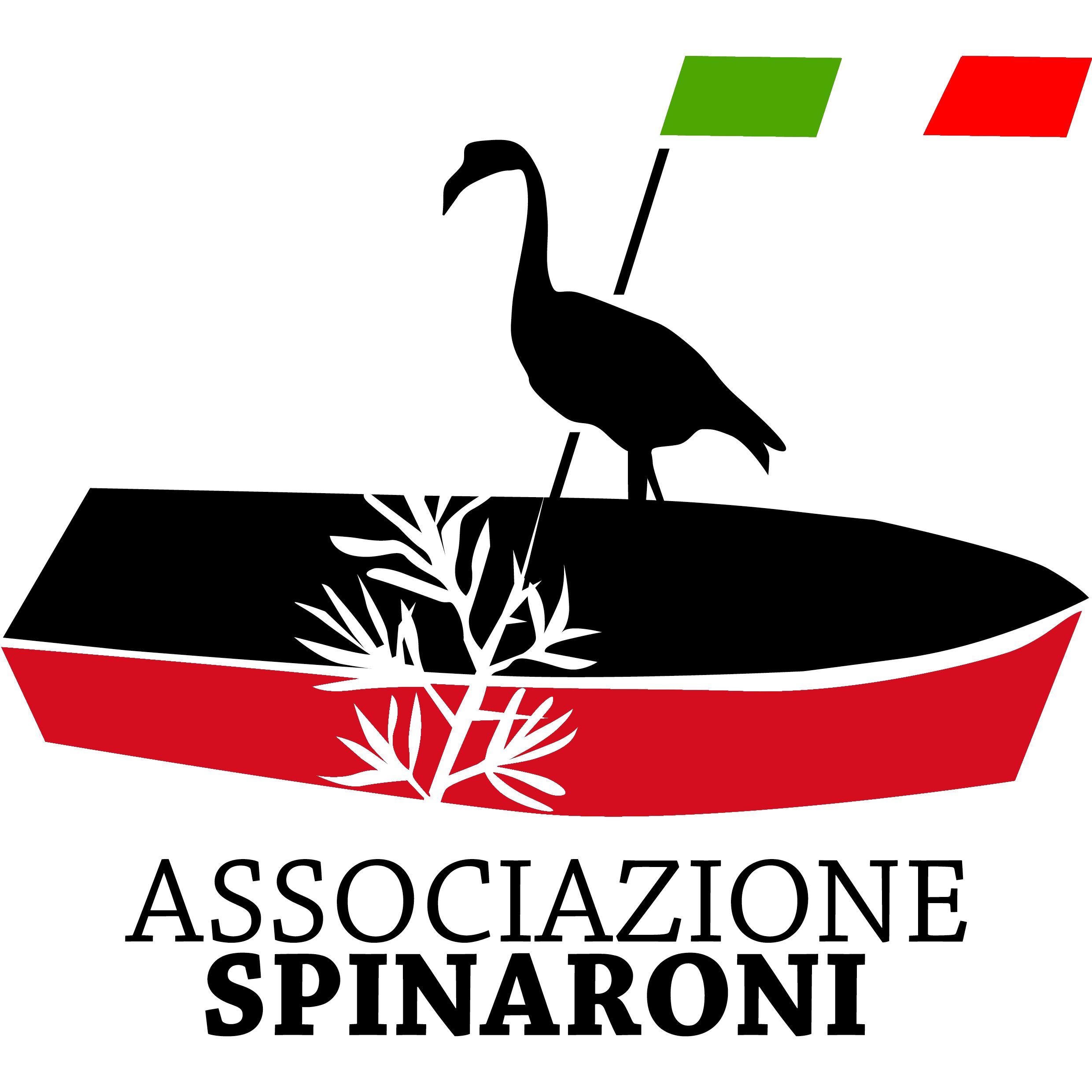 logo spinaroni colorato