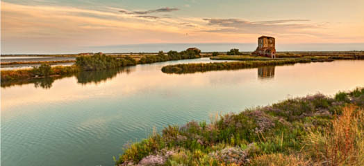 panorama_valli_di_comacchio_per_copertina.jpg1