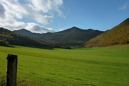 passi-del-silenzio-valdicastro