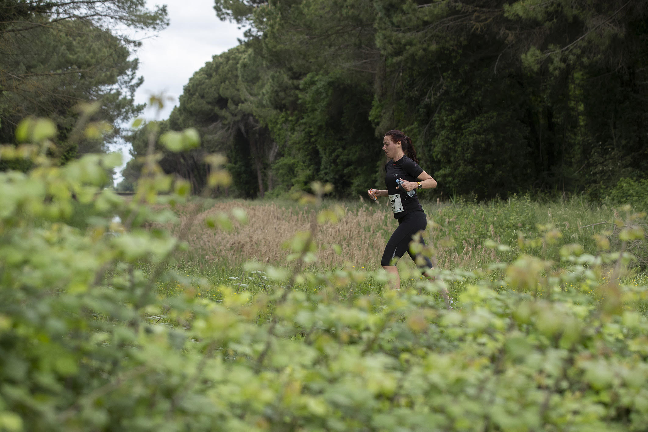 TRAIL ROMAGNA - La corsa della bonifica........ e di Dante