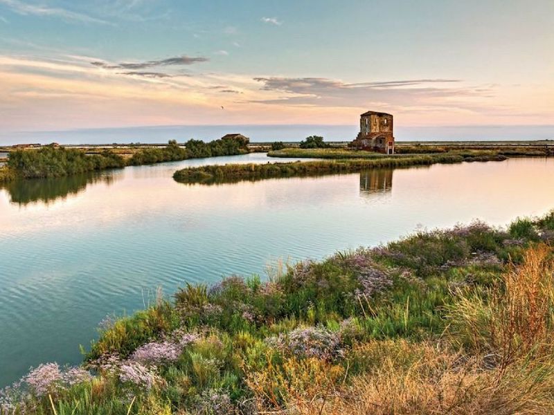 valli-di-comacchio